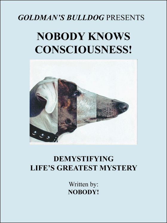 Produktbild: Nobody Knows Consciousness!: Demystifying Life's Greatest Mystery (Goldman's Bulldog Presents, #3)