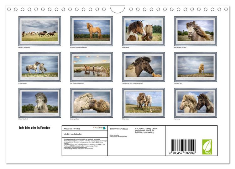 Produktbild: Ich bin ein Isl&auml;nder (Wandkalender 2026 DIN A4 quer), CALVENDO Monatskalender