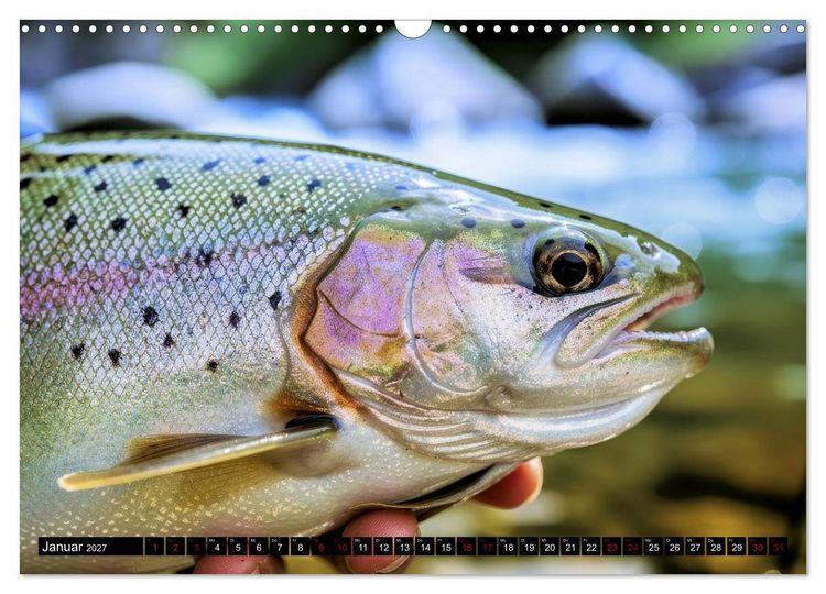 Produktbild: Forellen im Fluss (Wandkalender 2027 DIN A3 quer), CALVENDO Monatskalender