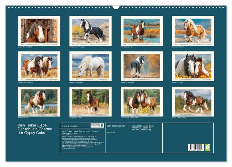 Produktbild: Irish Tinker Liebe. Der robuste Charme der Gypsy Cobs (Wandkalender 2027 DIN A2 quer), CALVENDO Monatskalender