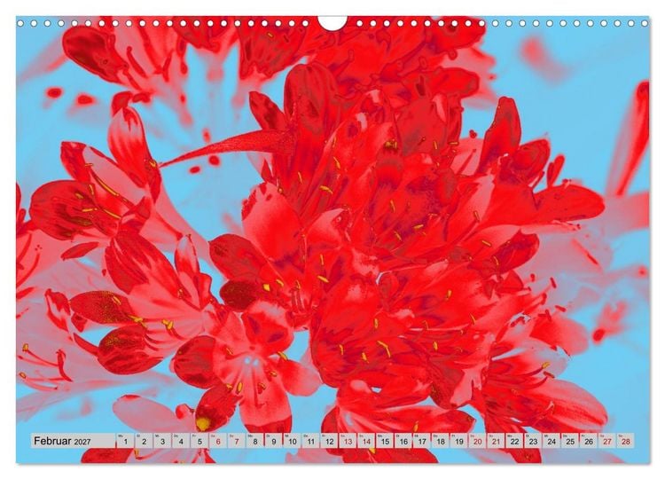 Produktbild: Blumen Pop-Art (Wandkalender 2027 DIN A3 quer), CALVENDO Monatskalender