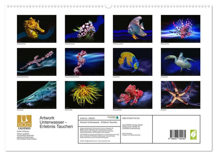 Produktbild: Artwork Unterwasser - Erlebnis Tauchen (hochwertiger Premium Wandkalender 2026 DIN A2 quer), Kunstdruck in Hochglanz