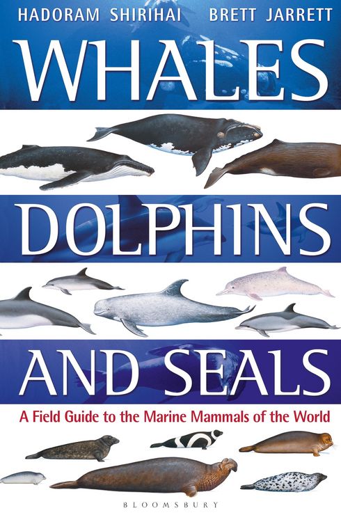 Produktbild: Whales, Dolphins and Seals