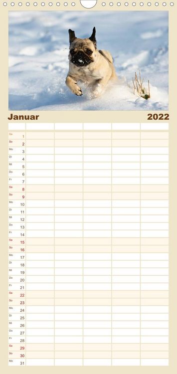 Produktbild: Mops - Familienplaner hoch (Wandkalender 2022 , 21 cm x 45 cm, hoch)