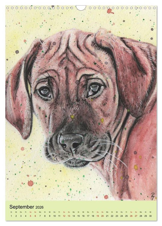 Produktbild: Hundeportr&auml;ts - Aquarellzeichnungen von Pia Tasche (Wandkalender 2026 DIN A3 hoch), CALVENDO Monatskalender