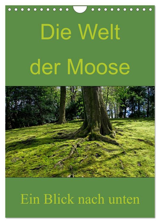 Produktbild: Die Welt der Moose. Ein Blick nach unten (Wandkalender 2026 DIN A4 hoch), CALVENDO Monatskalender