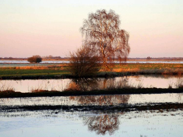 Produktbild: CALVENDO Puzzle Die Hammewiesen in Osterholz- Scharmbeck 1000 Teile Lege-Gr&ouml;&szlig;e 64 x 48 cm Foto-Puzzle Bild von Ulrike Adam