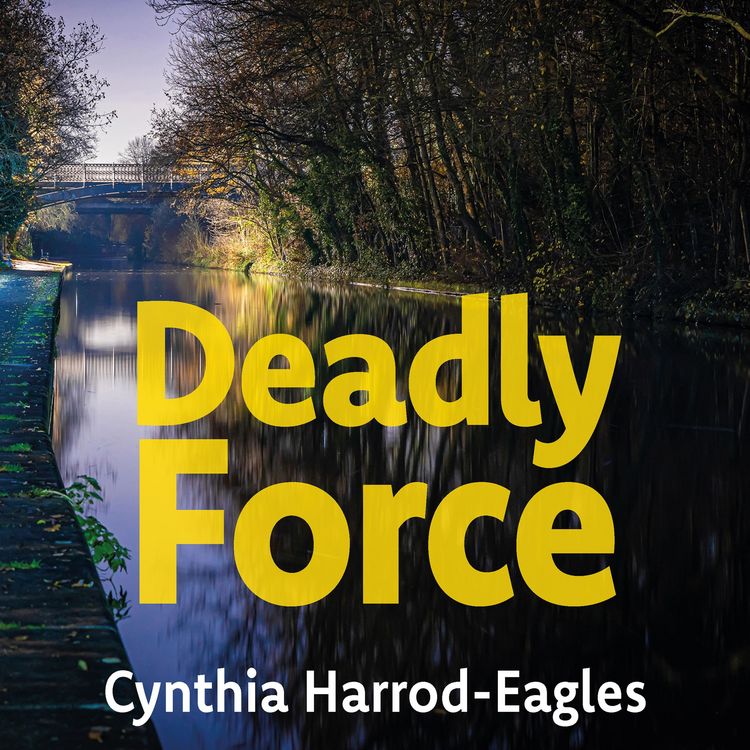 Produktbild: Deadly Force