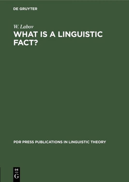 Produktbild: What is a linguistic fact?