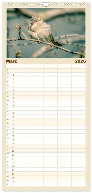 Produktbild: Familienplaner 2026 - Spatzen mit 5 Spalten (Wandkalender, 21 x 45 cm) CALVENDO