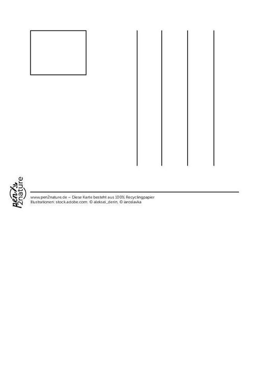 Produktbild: Postkartenblock Dreams