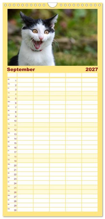 Produktbild: Familienplaner 2027 - Die Launen der Katzen 2027 mit 5 Spalten (Wandkalender, 21 x 45 cm) CALVENDO