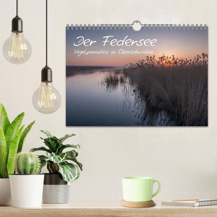 Produktbild: Der Federsee - Vogelparadies in Oberschwaben (Wandkalender 2026 DIN A4 quer), CALVENDO Monatskalender