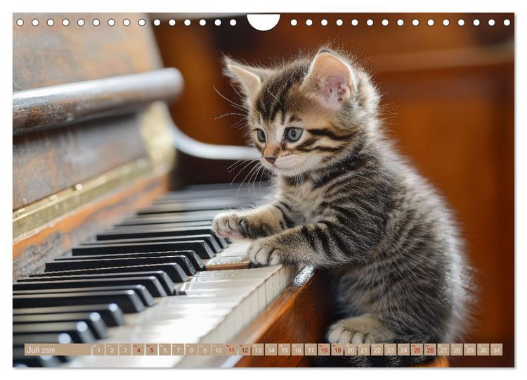 Produktbild: Miau-sikalische Momente (Wandkalender 2026 DIN A4 quer), CALVENDO Monatskalender