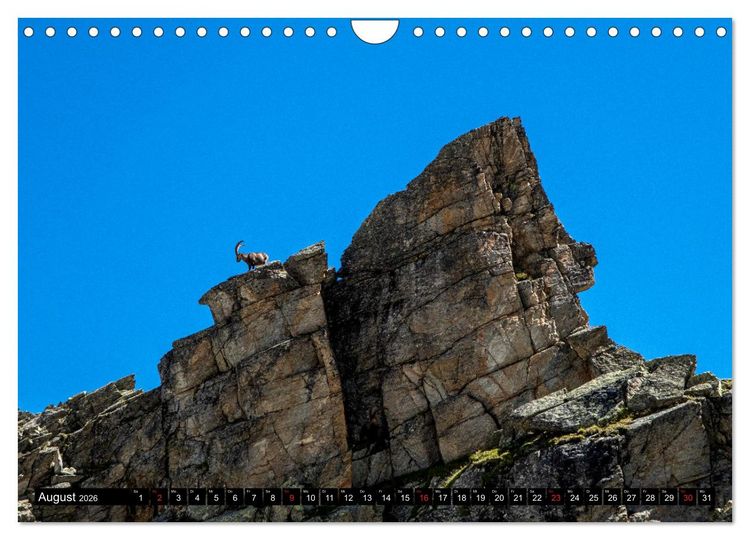 Produktbild: Wanderparadies Montafon (Wandkalender 2026 DIN A4 quer), CALVENDO Monatskalender