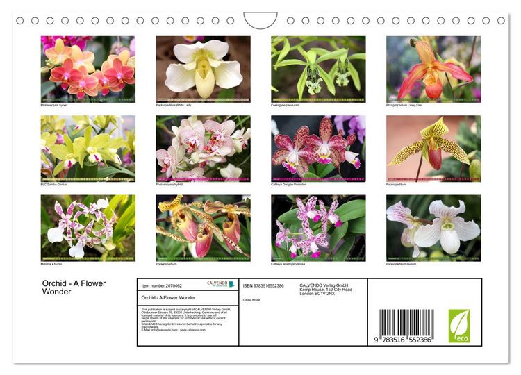 Produktbild: Orchid - A Flower Wonder (Wall Calendar 2026 DIN A4 landscape), CALVENDO 12 Month Wall Calendar