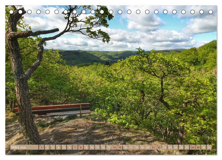 Produktbild: Der Wald - Ort der Ruhe und Besinnung (Tischkalender 2026 DIN A5 quer), CALVENDO Monatskalender