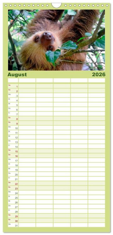 Produktbild: Familienplaner 2026 - Abh&auml;ngen - Faultier mit 5 Spalten (Wandkalender, 21 x 45 cm) CALVENDO
