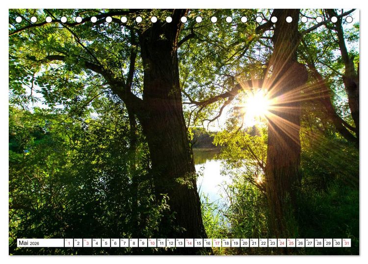 Produktbild: Brandenburgs Gew&auml;sser (Tischkalender 2026 DIN A5 quer), CALVENDO Monatskalender