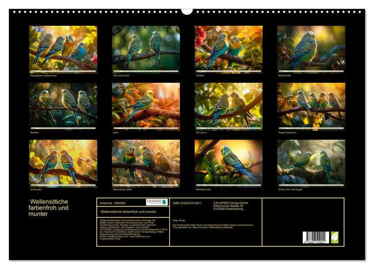 Produktbild: Wellensittiche farbenfroh und munter (Wandkalender 2026 DIN A2 quer), CALVENDO Monatskalender