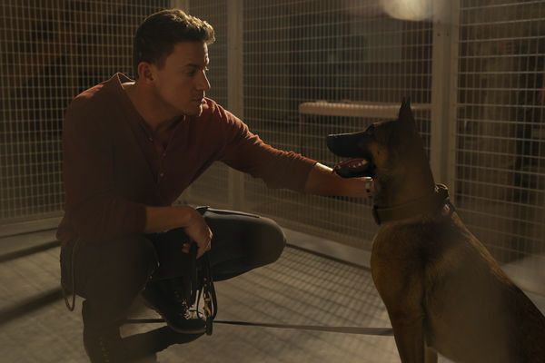 Produktbild: Dog - Das Gl&uuml;ck hat vier Pfoten