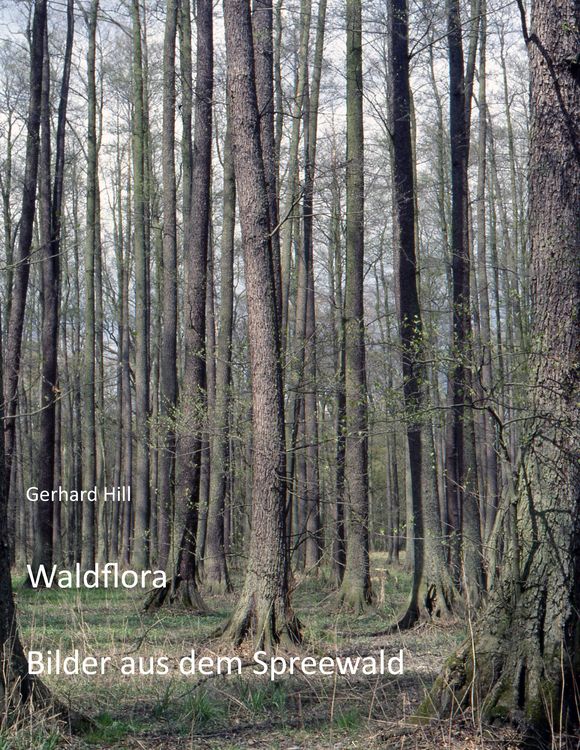 Produktbild: Waldflora