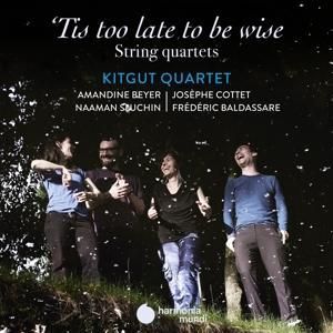 Produktbild: 'Tis too late to be wise