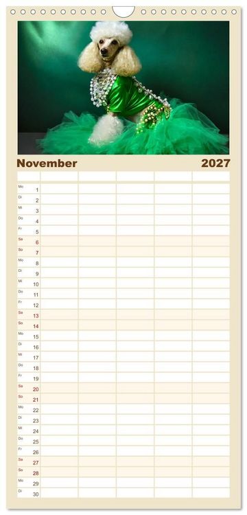 Produktbild: Familienplaner 2027 - Kleine Hunde - Gro&szlig;e Diven mit 5 Spalten (Wandkalender, 21 x 45 cm) CALVENDO
