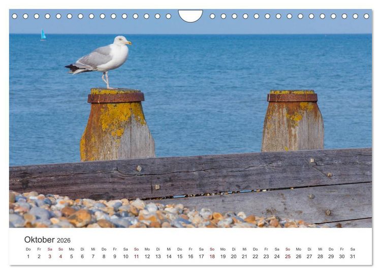 Produktbild: Eastbourne an Englands S&uuml;dk&uuml;ste (Wandkalender 2026 DIN A4 quer), CALVENDO Monatskalender