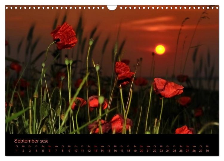 Produktbild: Sonnenuntergang (Wandkalender 2026 DIN A3 quer), CALVENDO Monatskalender