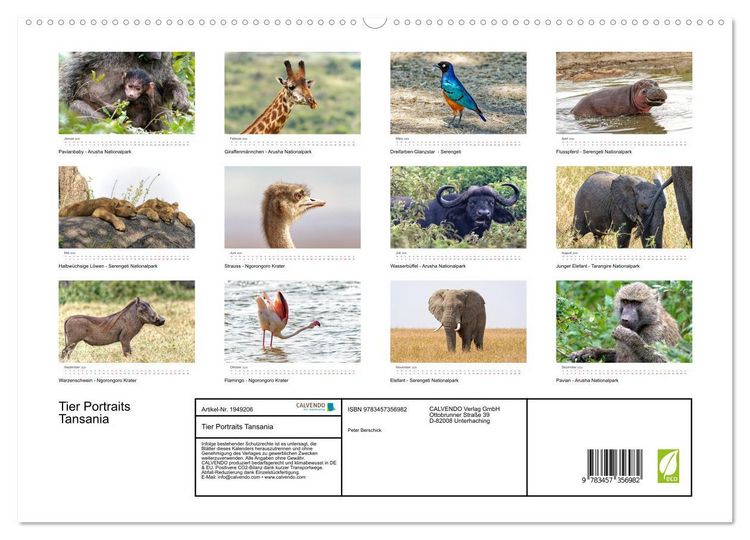 Produktbild: Tier Portraits Tansania (hochwertiger Premium Wandkalender 2026 DIN A2 quer), Kunstdruck in Hochglanz