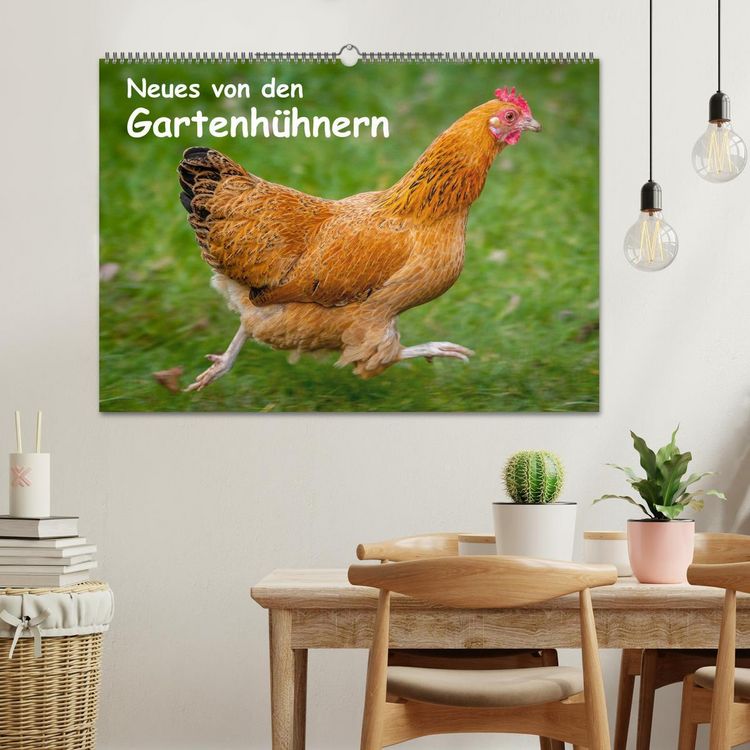 Produktbild: Neues von den Gartenh&uuml;hnern (Wandkalender 2026 DIN A2 quer), CALVENDO Monatskalender