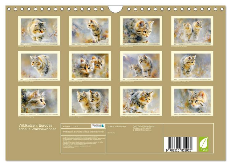 Produktbild: Wildkatzen. Europas scheue Waldbewohner (Wandkalender 2027 DIN A4 quer), CALVENDO Monatskalender