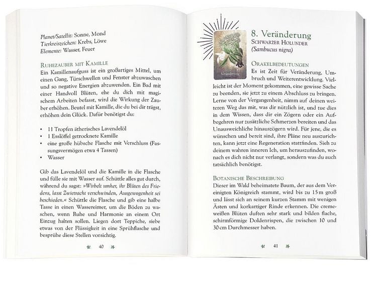 Produktbild: Das magische Orakel der Heilpflanzen