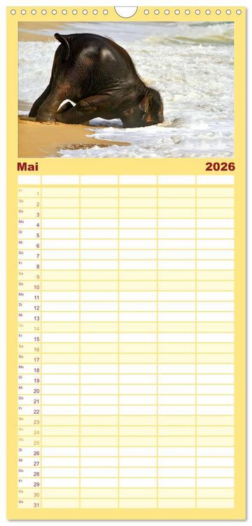 Produktbild: Familienplaner 2026 - Elefanten. Badespa&szlig; am Strand mit 5 Spalten (Wandkalender, 21 x 45 cm) CALVENDO