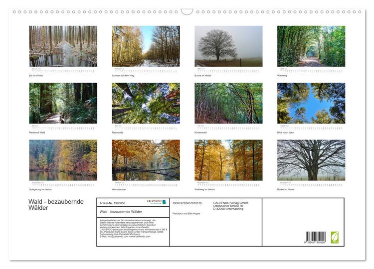 Produktbild: Wald - bezaubernde W&auml;lder (Wandkalender 2026 DIN A2 quer), CALVENDO Monatskalender