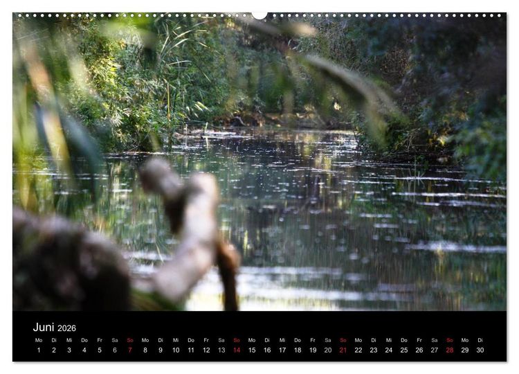 Produktbild: Donaudelta (Wandkalender 2026 DIN A2 quer), CALVENDO Monatskalender