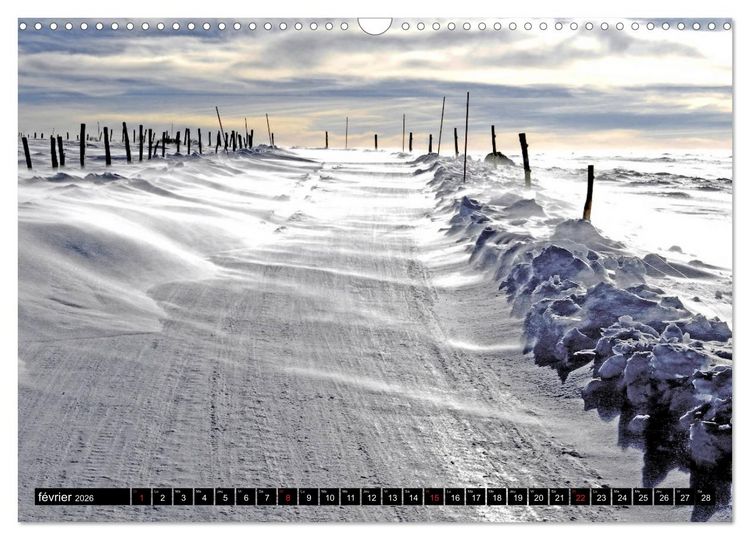 Produktbild: Collection Terre AUBRAC (Calendrier mural 2026 DIN A3 vertical), CALVENDO calendrier mensuel