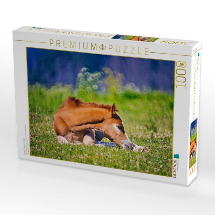 Produktbild: CALVENDO Puzzle kurze Erholung im Liegen | 1000 Teile Lege-Gr&ouml;&szlig;e 64x48cm Foto-Puzzle f&uuml;r gl&uuml;ckliche Stunden