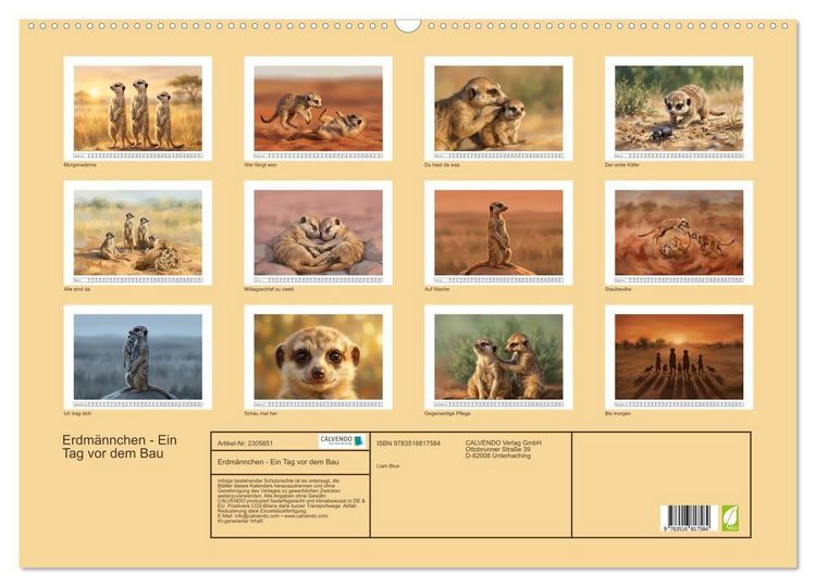Produktbild: Erdm&auml;nnchen - Ein Tag vor dem Bau (Wandkalender 2027 DIN A2 quer), CALVENDO Monatskalender