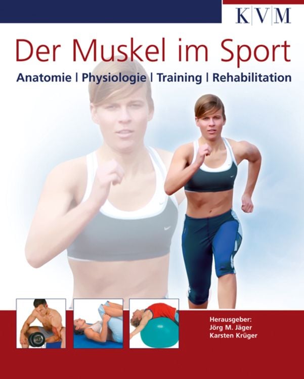 Produktbild: Der Muskel im Sport