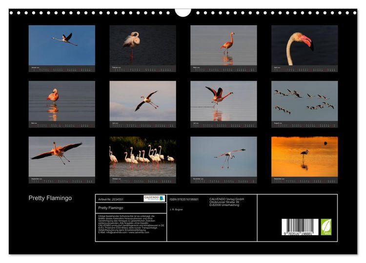 Produktbild: Pretty Flamingo (Wandkalender 2026 DIN A3 quer), CALVENDO Monatskalender