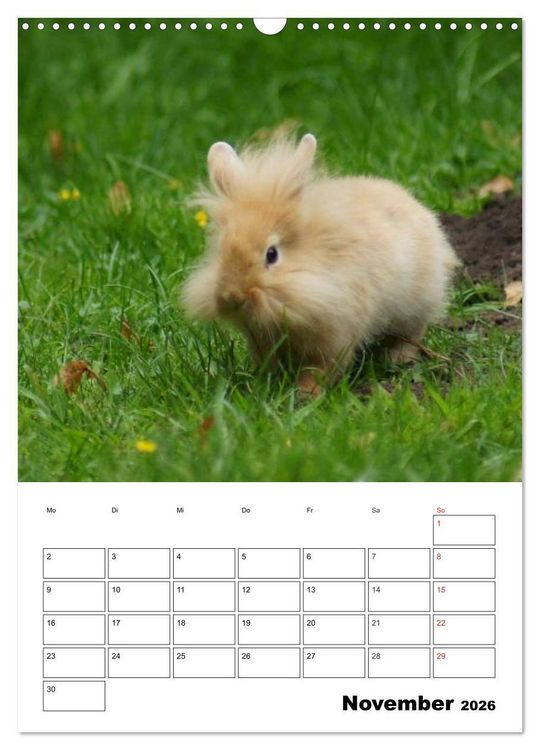 Produktbild: Kaninchen Terminplaner (Wandkalender 2026 DIN A3 hoch), CALVENDO Monatskalender