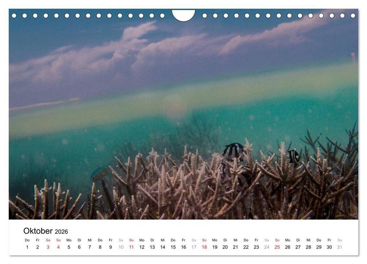 Produktbild: Unterwasserwelt der Malediven I (Wandkalender 2026 DIN A4 quer), CALVENDO Monatskalender