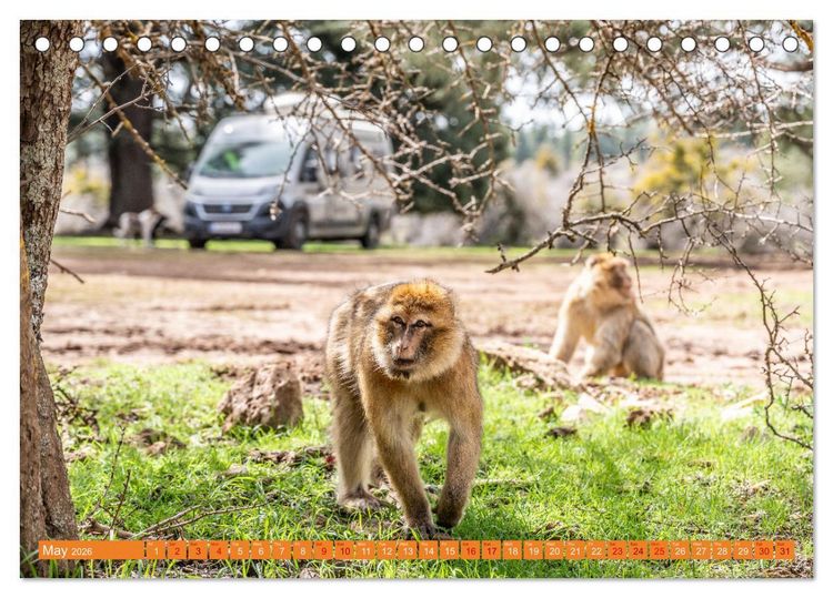 Produktbild: Van Life Road Trip Morocco (Desk Calendar 2026 DIN A5 landscape), CALVENDO 12 Month DeskCalendar