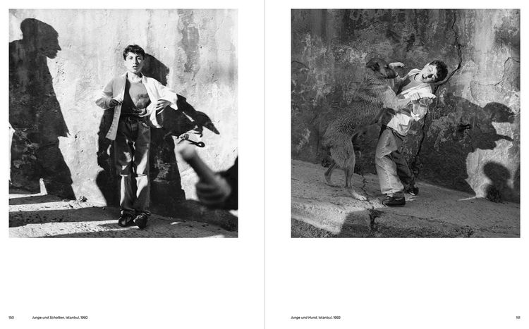 Produktbild: Fotografie. Das Werk