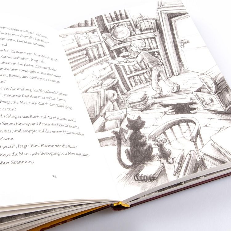 Produktbild: Im Zeichen der Zauberkugel 4: Das Geheimnis des Drachen