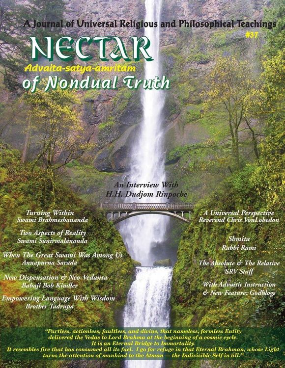 Produktbild: Nectar of Non-Dual Truth #37