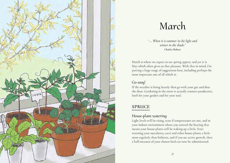 Produktbild: The Five Minute Garden