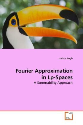 Produktbild: Singh, U: Fourier Approximation in Lp-Spaces